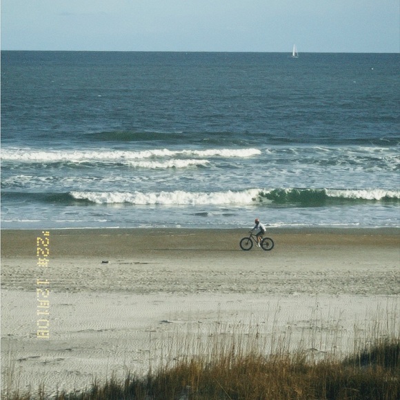 Meet your Posher, Alexis - Picture 1 of 1